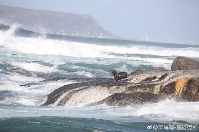 南非开普敦旅游景点，诗与远方的南非开普敦