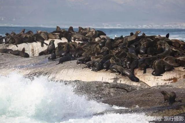 南非开普敦旅游景点，诗与远方的南非开普敦