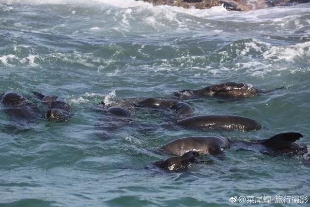 南非开普敦旅游景点，诗与远方的南非开普敦