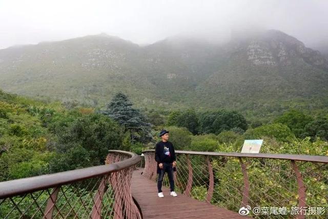 南非开普敦旅游景点，诗与远方的南非开普敦