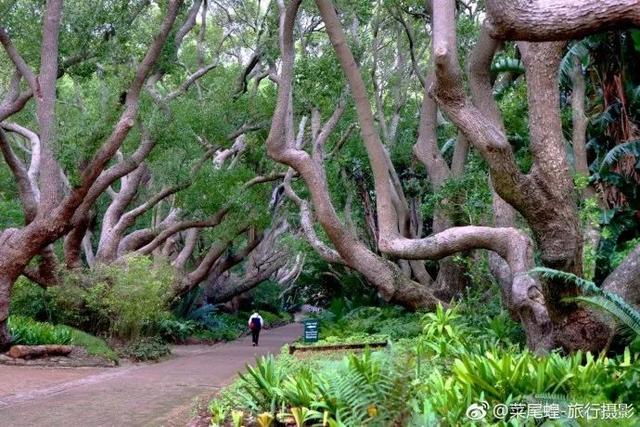 南非开普敦旅游景点，诗与远方的南非开普敦