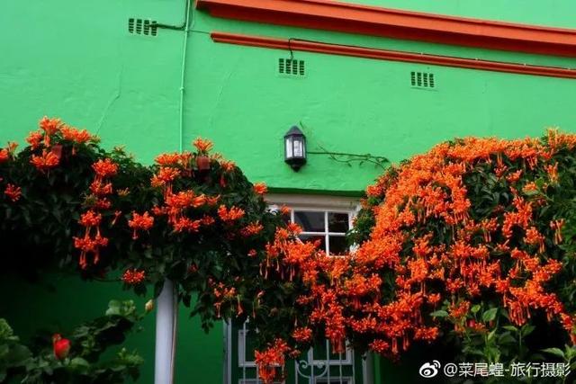 南非开普敦旅游景点，诗与远方的南非开普敦