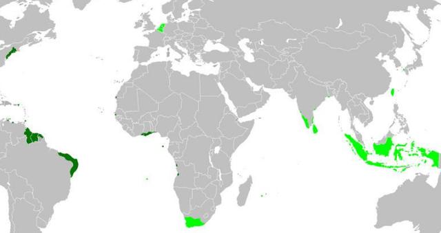 葡萄牙帝国历史地图，英法荷西葡五大帝国都有哪些殖民地