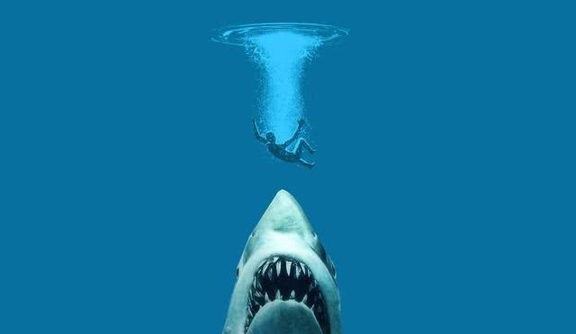 这三部鲨鱼电影你们看过么，都在这10部电影里了