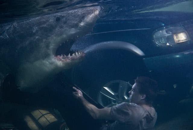 这三部鲨鱼电影你们看过么，都在这10部电影里了