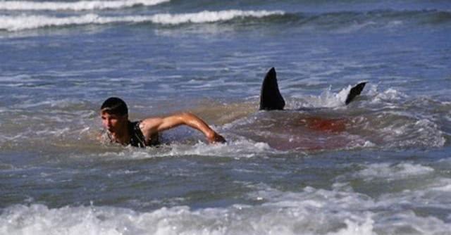 这三部鲨鱼电影你们看过么，都在这10部电影里了