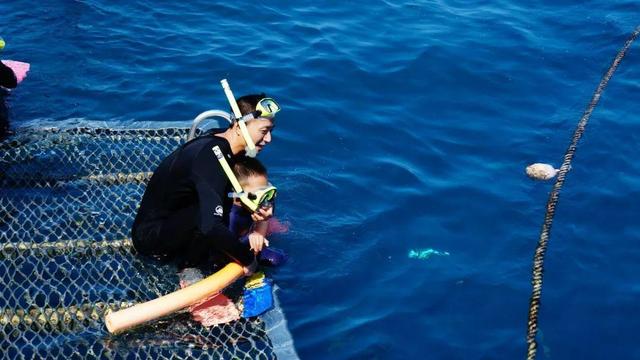 暑假亲子游自由行攻略，暑期亲子游乘飞机全攻略