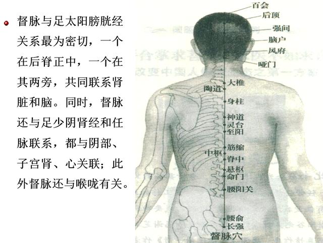 任督二脉在哪里，任督二脉穴位在哪里