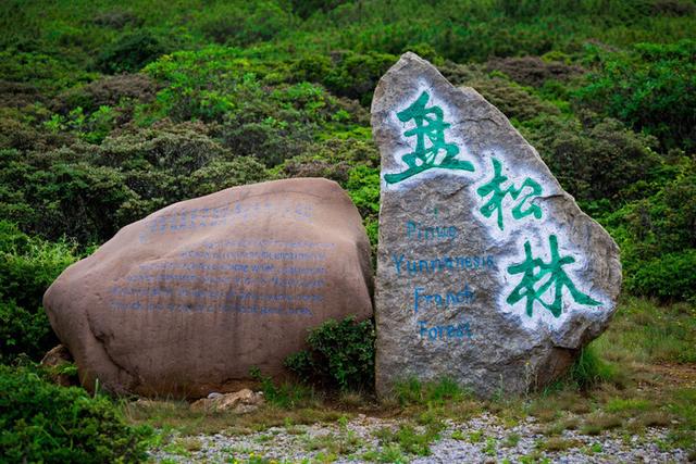 格萨拉生态旅游区，格萨拉生态旅游景区（格萨拉旅游景点介绍）