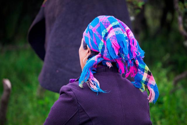 格萨拉生态旅游区，格萨拉生态旅游景区（格萨拉旅游景点介绍）