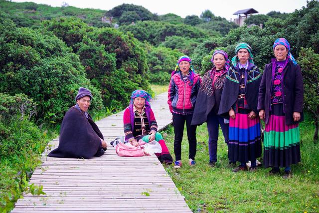 格萨拉生态旅游区，格萨拉生态旅游景区（格萨拉旅游景点介绍）