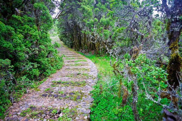 格萨拉生态旅游区，格萨拉生态旅游景区（格萨拉旅游景点介绍）