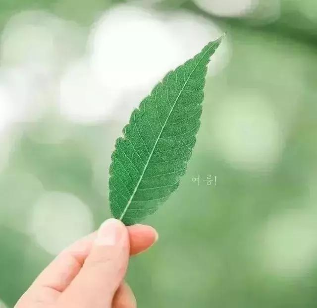 晚安感悟180808：人穷不能志短，钱少不要高攀