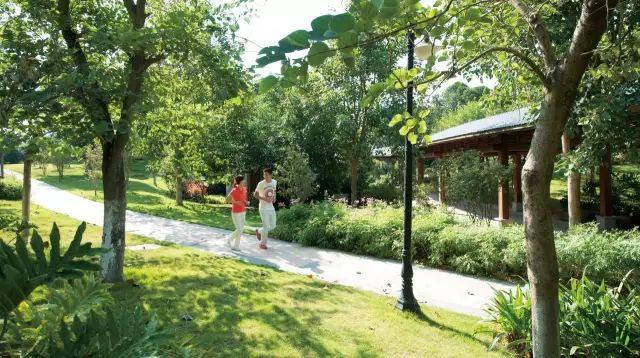 西虹市首富拍摄地，西虹市首富最壕取景地（西虹市首富取景城市）