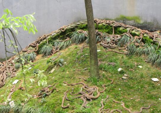 世上十大最诡异的地方，就算给我钱我也不敢去