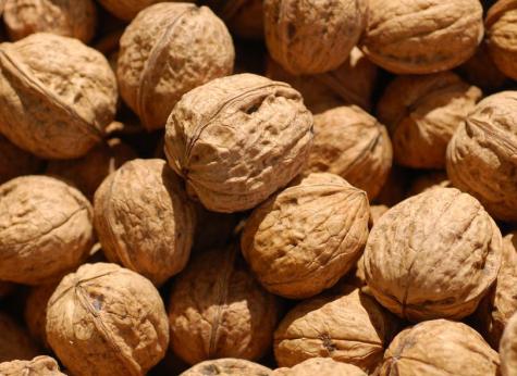 核桃有啥营养价值看完你就有数了，选育一颗好核桃太不容易了