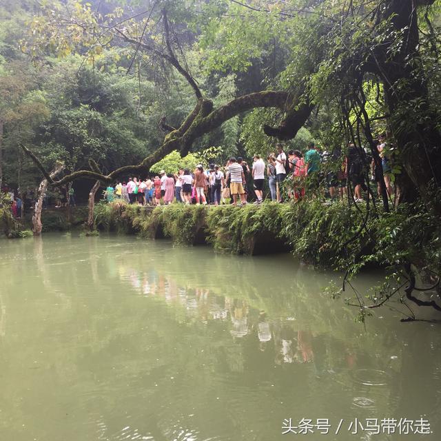 贵州自由行攻略，贵州自由行攻略及游记（干货分享记贵州七天六夜高质量自由行攻略）