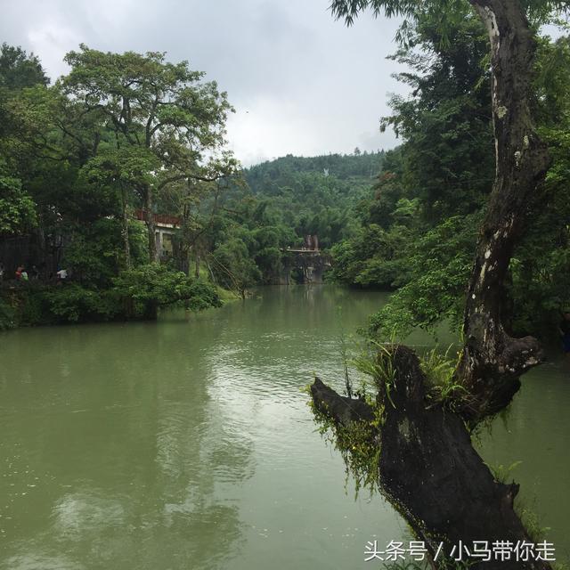 贵州自由行攻略，贵州自由行攻略及游记（干货分享记贵州七天六夜高质量自由行攻略）