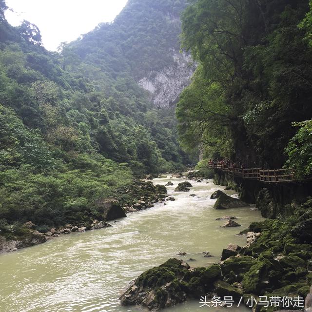 贵州自由行攻略，贵州自由行攻略及游记（干货分享记贵州七天六夜高质量自由行攻略）