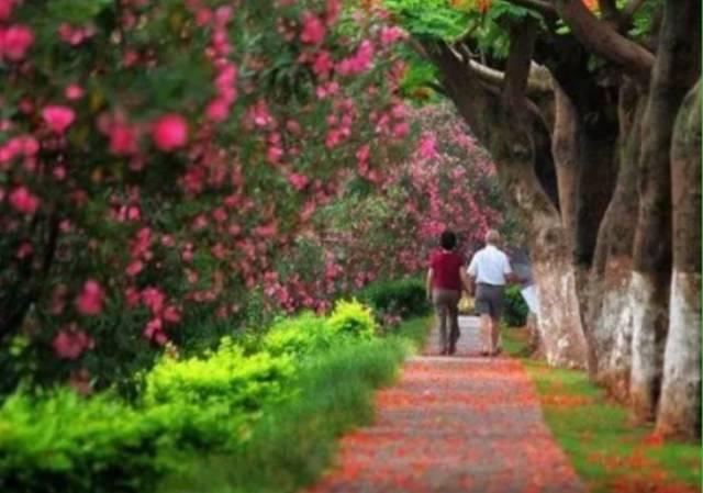 亲身经历的几种养老方式，我倾向于第四和第五种结合