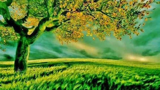 亲身经历的几种养老方式，我倾向于第四和第五种结合