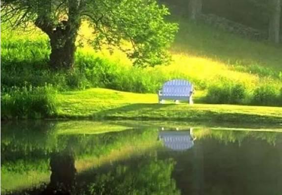 亲身经历的几种养老方式，我倾向于第四和第五种结合