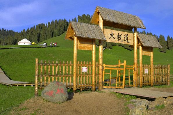 江布拉克旅游必去景点，观草原麦浪花海