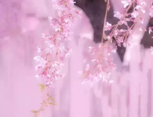 晚安语句180810：相处最佳状态是不嫉妒不迎合，有话聊不尴尬