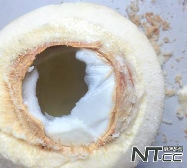  开椰青的巧妙方法，教你轻松巧开椰青