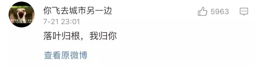 土味情话大合集每一句都土到哭，最近超火的100句土味情话合集