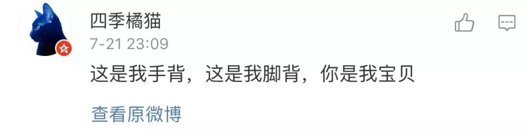 土味情话大合集每一句都土到哭，最近超火的100句土味情话合集