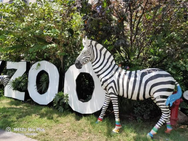 魅族16th优缺点，魅族16th深度体验时隔两年