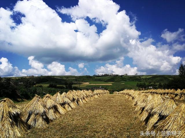 团山镇最美乡村，“最美乡医”41年只做一件事