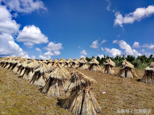 团山镇最美乡村，“最美乡医”41年只做一件事