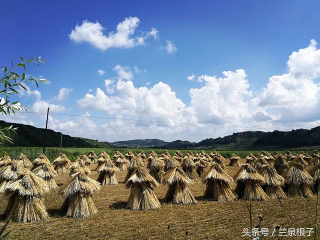 团山镇最美乡村，“最美乡医”41年只做一件事