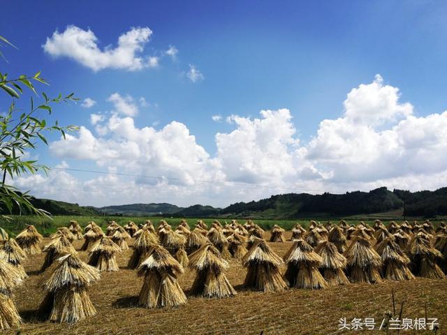 团山镇最美乡村，“最美乡医”41年只做一件事