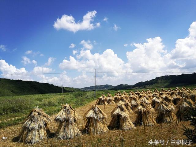 团山镇最美乡村，“最美乡医”41年只做一件事