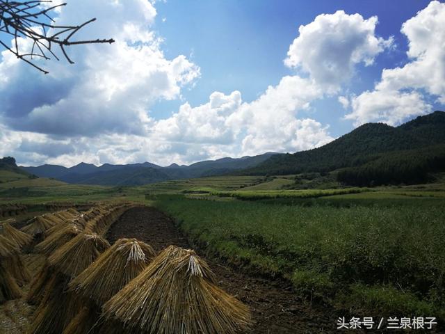 团山镇最美乡村，“最美乡医”41年只做一件事