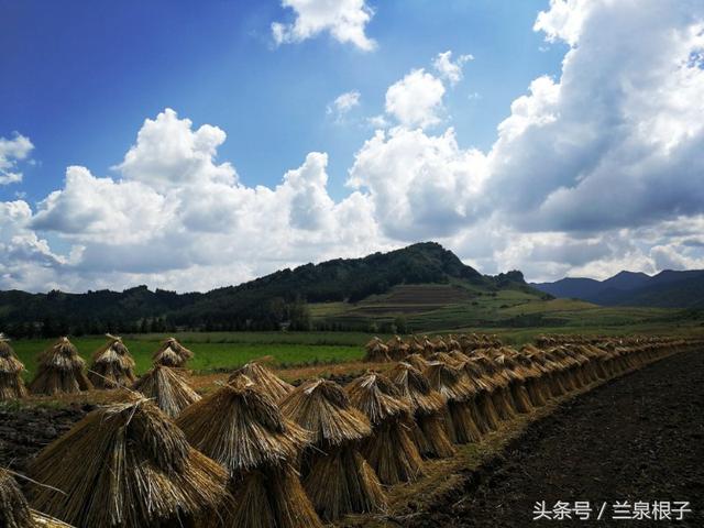 团山镇最美乡村，“最美乡医”41年只做一件事