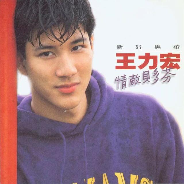 刘亦菲和王力宏，王力宏的十大优点（王力宏是个天才）