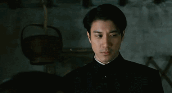 刘亦菲和王力宏，王力宏的十大优点（王力宏是个天才）