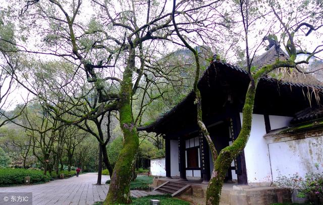 张氏族谱32字辈大全，四川张氏家族族谱8个字辈大全（四川省部分地区张氏字辈一览表）