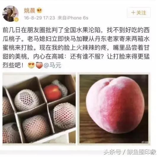 河口艳红桃介绍，丹东特产之河口艳红桃