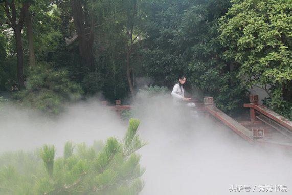 黄帝内经五行养生秘籍，茶道养生课黄帝内经