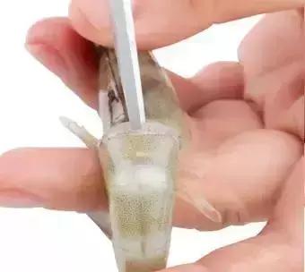 怎样去除虾线最快的方法，虾线快速去除三妙招