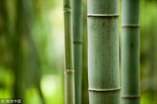加碘盐和精制盐有什么区别，加碘盐、低钠盐、精制盐