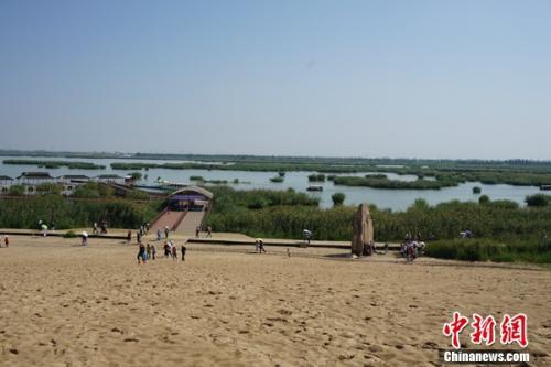 宁夏银川市沙湖生态旅游区，走进宁夏沙湖保护湿地生态