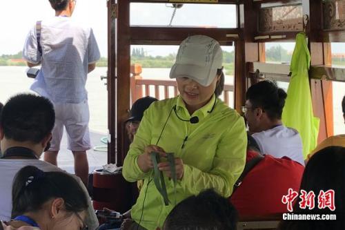 宁夏银川市沙湖生态旅游区，走进宁夏沙湖保护湿地生态