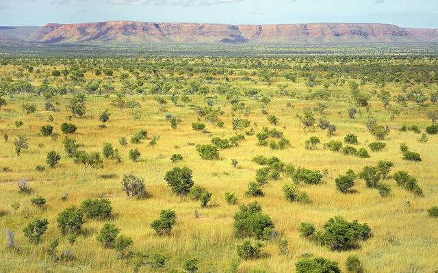 澳大利亚气候特点，澳大利亚的气候特征及其原因（奇怪的——为何澳大利亚东、西岸气候不同）