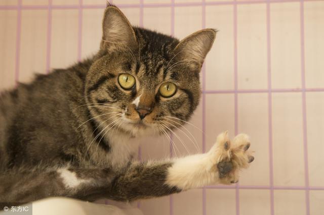 驾驶证的副页有什么作用，拿到证的小伙伴别乱动